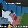 ariis.bjm