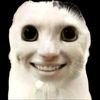 david.zoma7