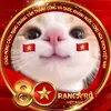 nhachaymoingay372