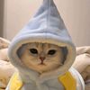 perpyy2