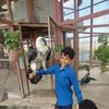 user92396384782447