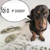 lucas.nogueira7856