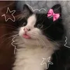 lariskibidi123