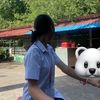 zapepy2