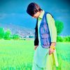maaz.jan947