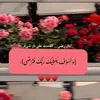 a__mpl8