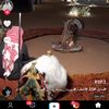 al_kauwari