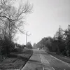 curtismckee5