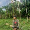 user32145761358080