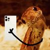 thesnake37