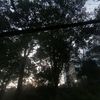 growagardenv2_k