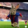 elias.petit7