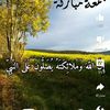 user6197002328465