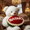 bagul.bercin