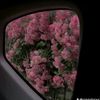 bi.bihiuv