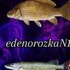 edenorozka