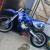 archie_mx