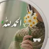 zah_raa310