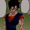 mr_vegito_6