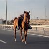 k7bak__