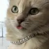 leykrypto0