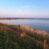 affeboy46