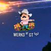 werko87gt502