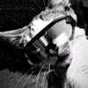 23_sebastian08