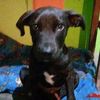 .maricela10