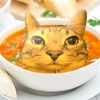 gatopapeadas1