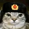 ori_0_n
