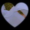 user1724495996661