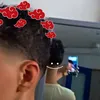 bordax.2