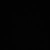 s419455