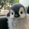 penguin19866