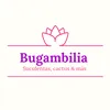 bugambilia.suculentas