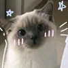 thatgirlfranzee