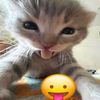 _billa_0128