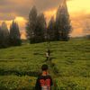 wahyu.sng2