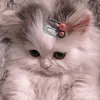 keybomomi