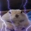giggleshittereater