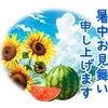 user86698625080551