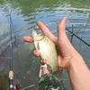 fishing_rostov