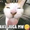 elzz_tornado
