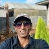 dorsam55