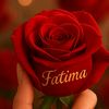 user3361761078714