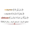 bilalreallion2