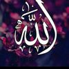 islamic.videos2841