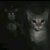 fgfgfgfg003