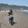 agus12342205